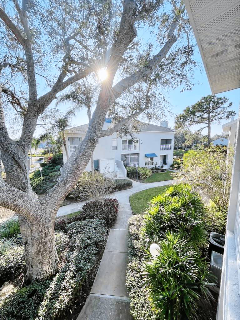 Condo  Bradenton