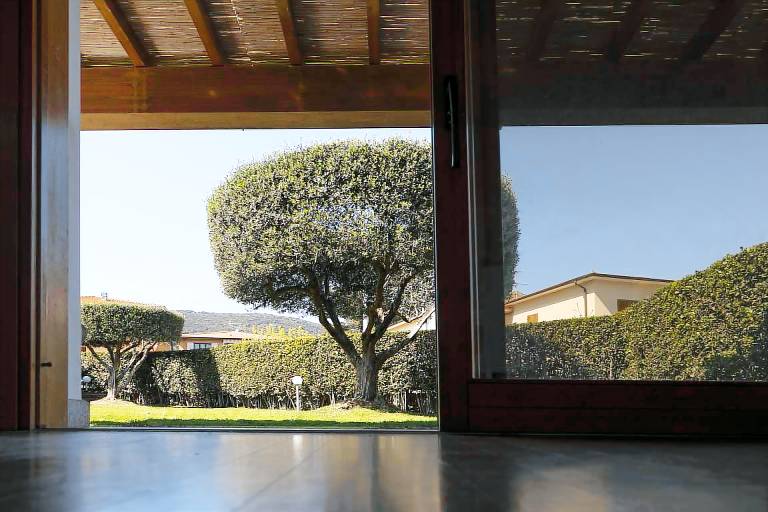 Villa with garden — photo 5