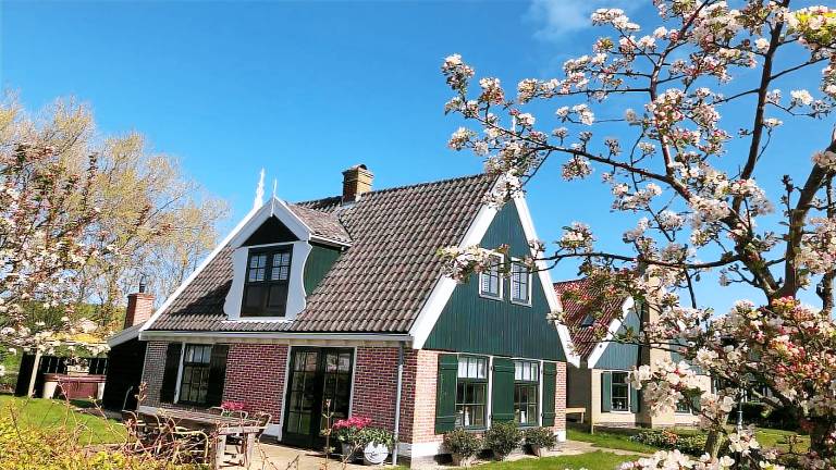 Ferienwohnung Hippolytushoef
