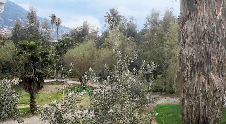 Vacation home with 1 room for 3 persons — photo 4