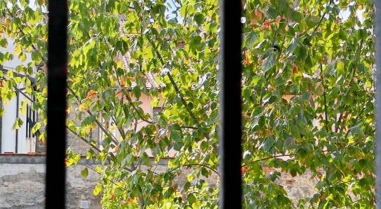 Rental apartment | Near San Michele in Foro | Dogs allowed — photo 4