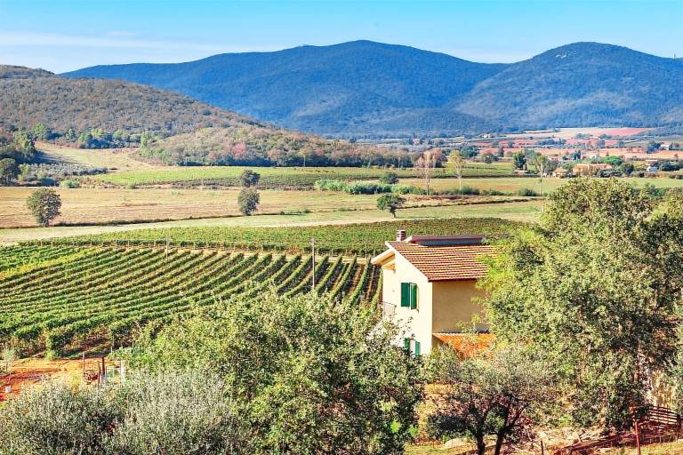 House with barbecue, pool & patio in Magliano in Toscana