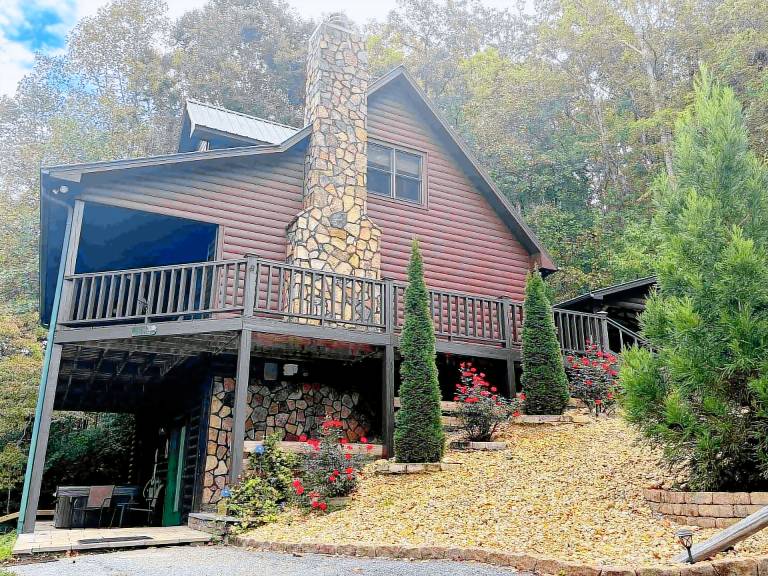 Cabin Young Harris