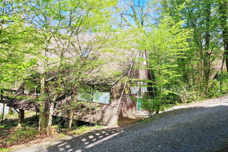Chalet with pool | Dogs allowed — photo 2