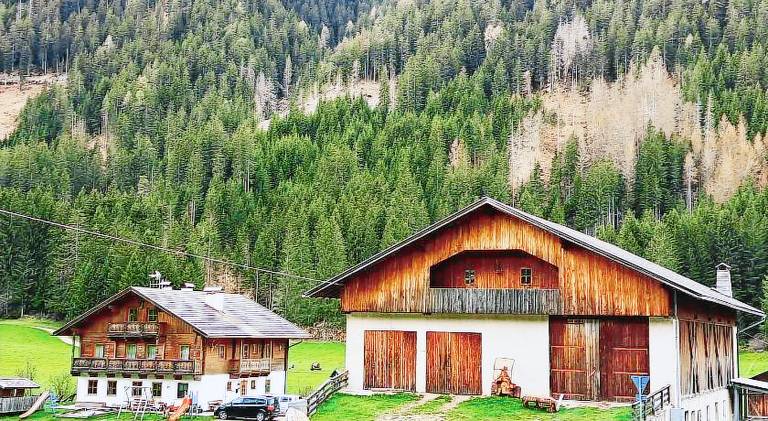 Wonderful apartment | Dogs allowed in Valle di Casies