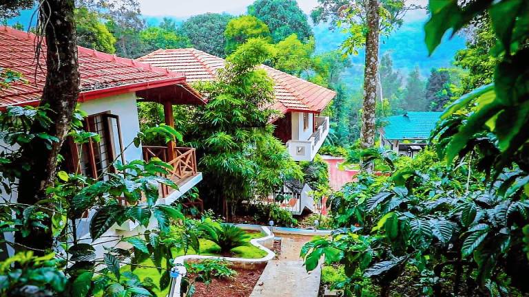 Jungle Hill Resort Coorg
