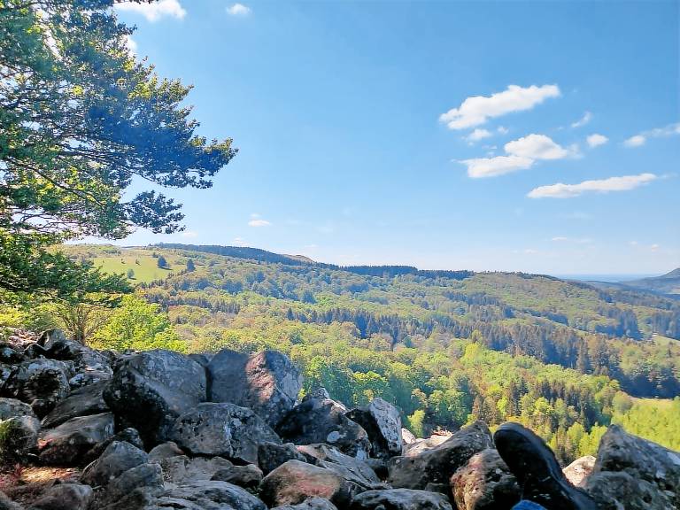 foto2
