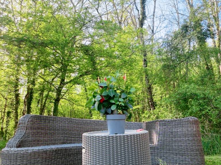 Maison de vacances Belley