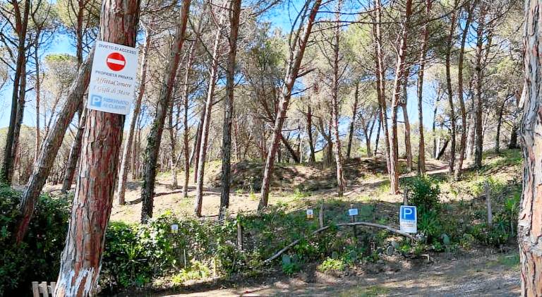 Affittacamere I Gigli di Mare — photo 5