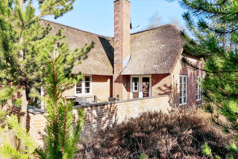 Ferienhaus mit Hund inToftum Roemoe f&uuml;r max. 6 Personen