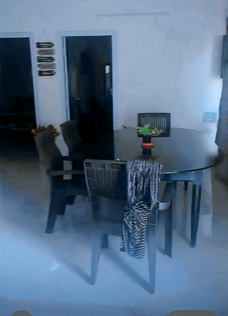 Rental apartment | Pet-friendly — photo 4