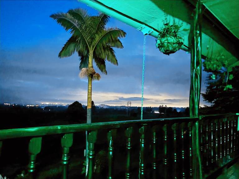 Nankirua — photo 5
