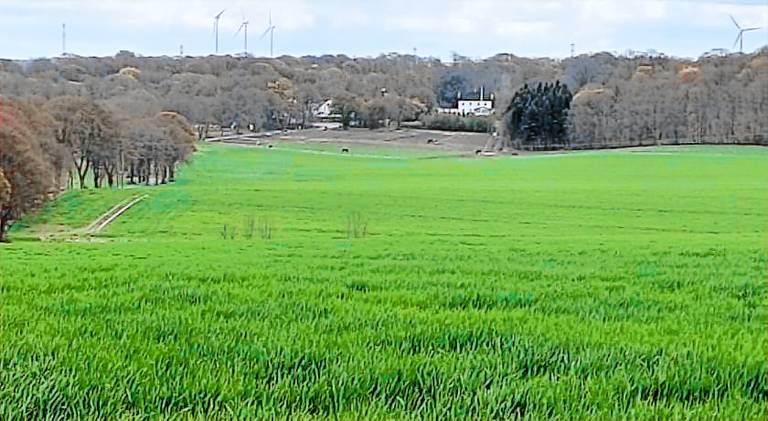 Christianslund in Randers