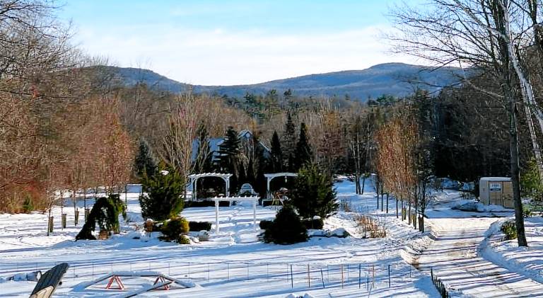 Scenic Vista Inn — photo 4
