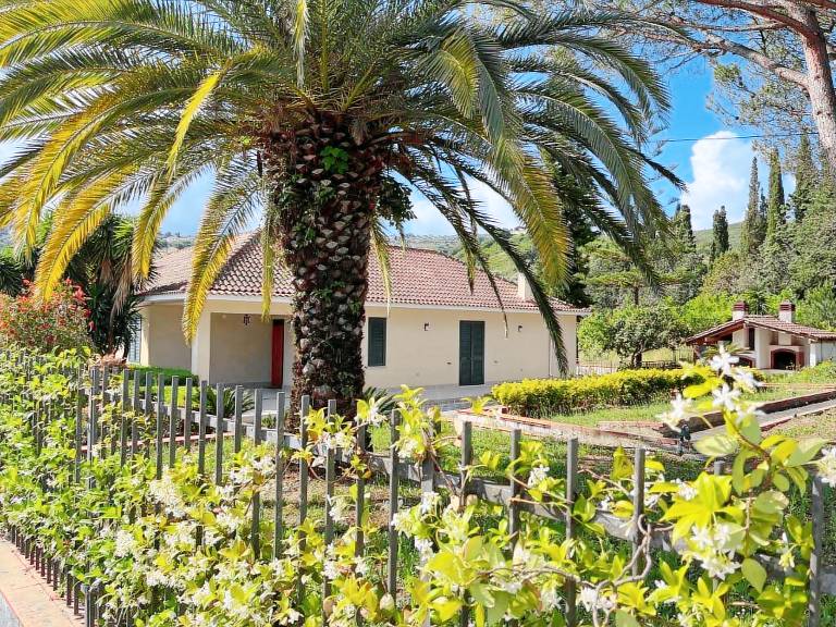 Villa with yard, BBQ & patio | Garden view — photo 4
