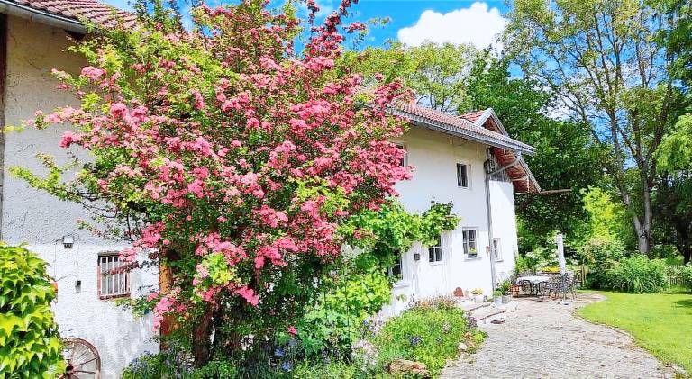 Apartment with 2 rooms for 6 persons in Passau