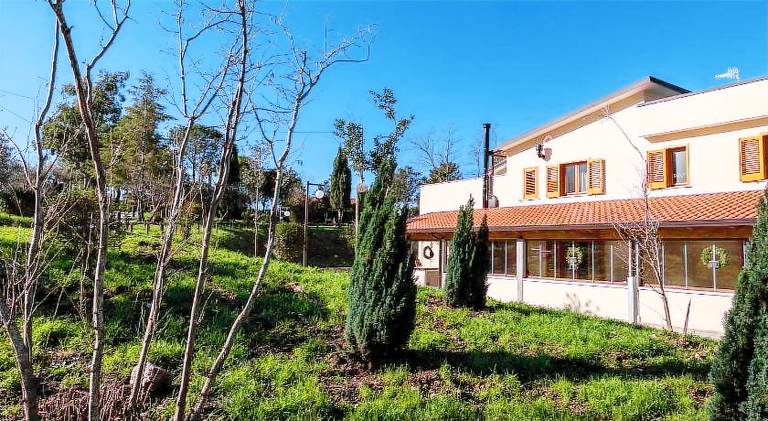 Tenuta Pascarella Bed & Breakfast — photo 5