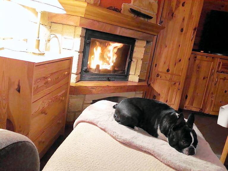 Rental apartment with garden, terrace & grill | Next to the beach | Pet-friendly — photo 2