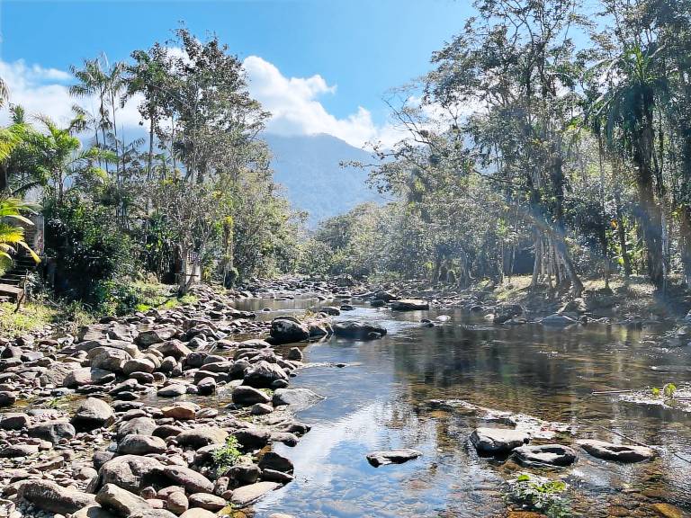 Pousada cachoeira de Paraty — photo 5