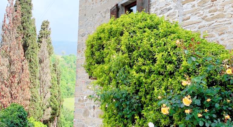 San Martino Vald'Afra — photo 4