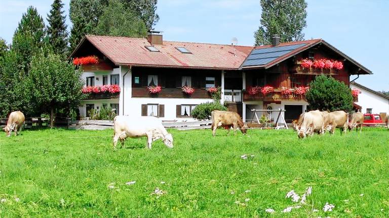 Ferienwohnung  Gunzesried