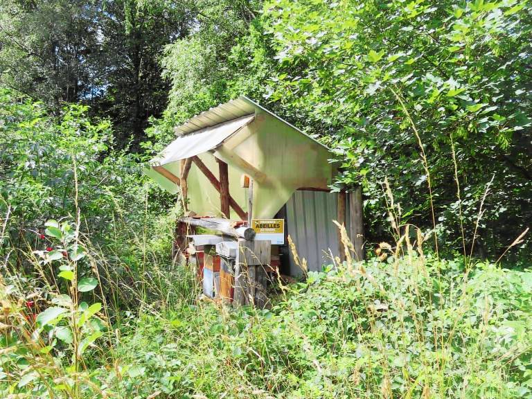 Cottage  Le Tholy