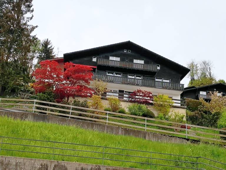Chalet Sarnen