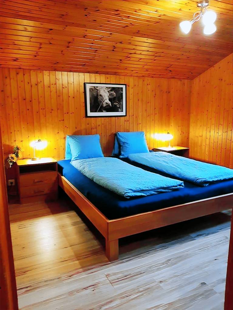 Chalet Burgstein Wohnung Enzian