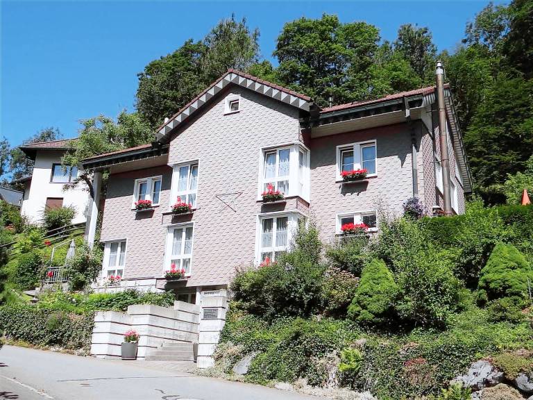 Ferienwohnung Wolfenschiessen