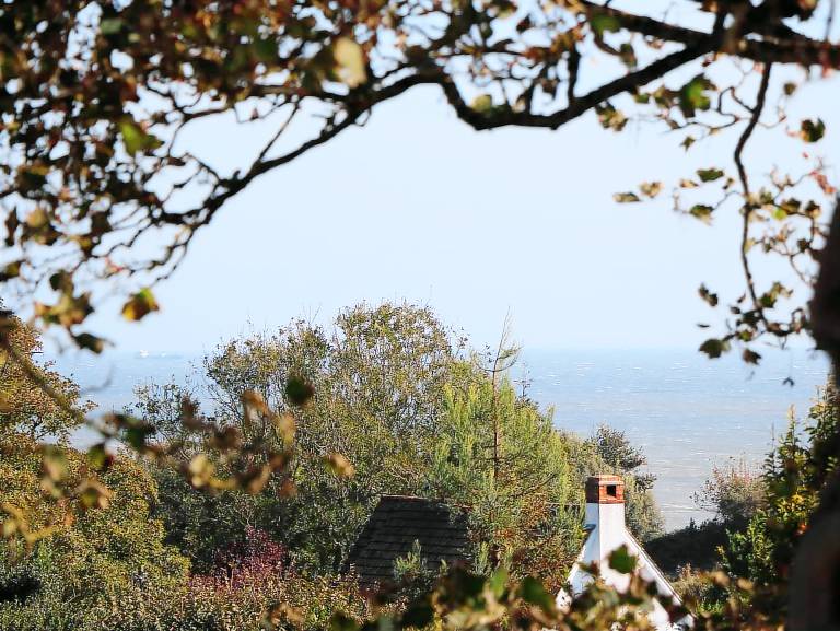 Cottage with yard & sauna | Beach view — photo 3