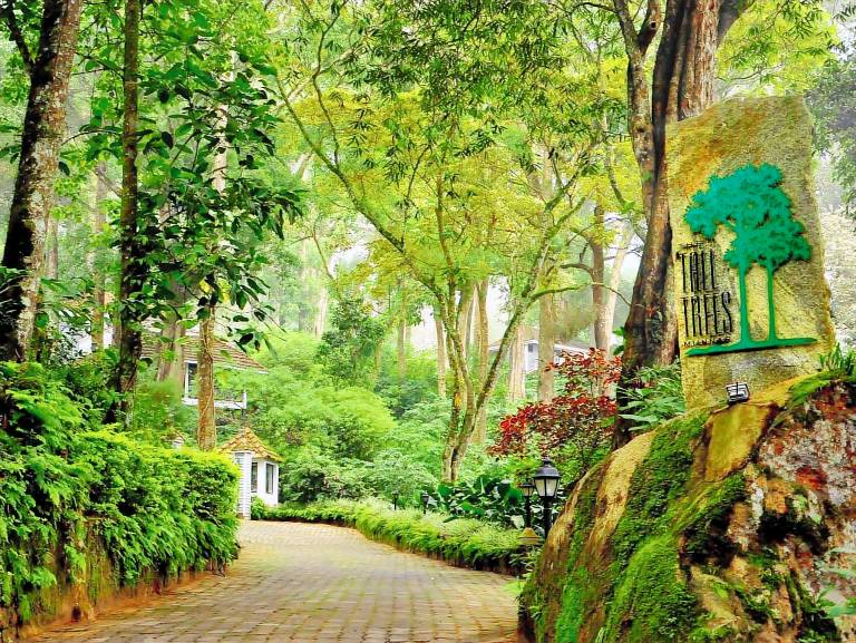 Resort Munnar