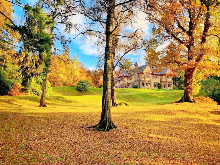 House Dunkeld