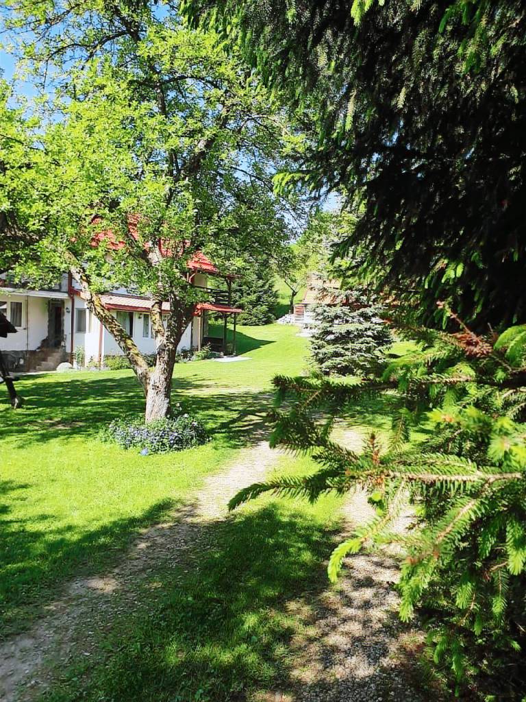 Casa Voinescu Quiet place close to Bran Castle in Brasov