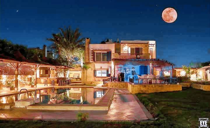 Villa with pool — photo 3