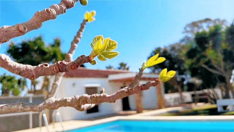 Villa Conil de la Frontera