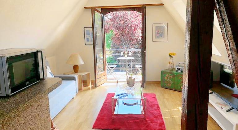 Rental apartment with pool | Pets are welcome in Sélestat