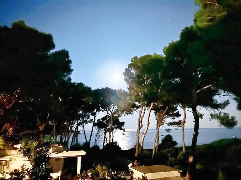 foto5