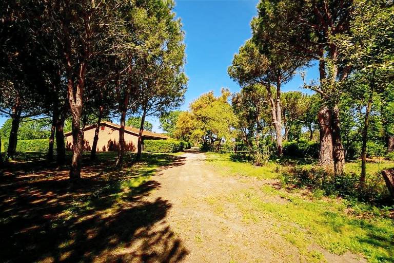 Privatzimmer Rione XVIII Castro Pretorio
