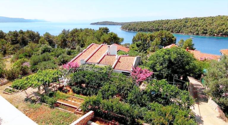 Apartment with 2 rooms for 5 persons in Jelsa