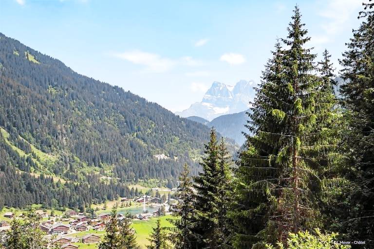 Ferienwohnung Châtel