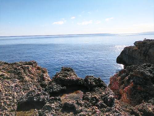 foto4