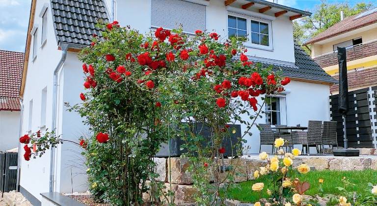 House | Pets allowed in Würzburg