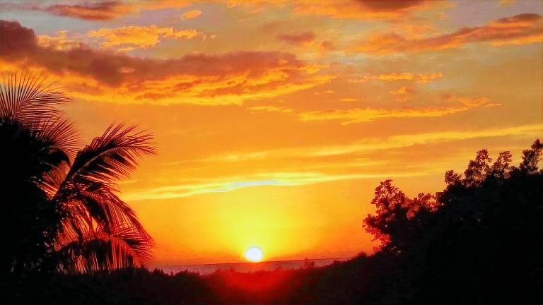 Condo  Marco Island