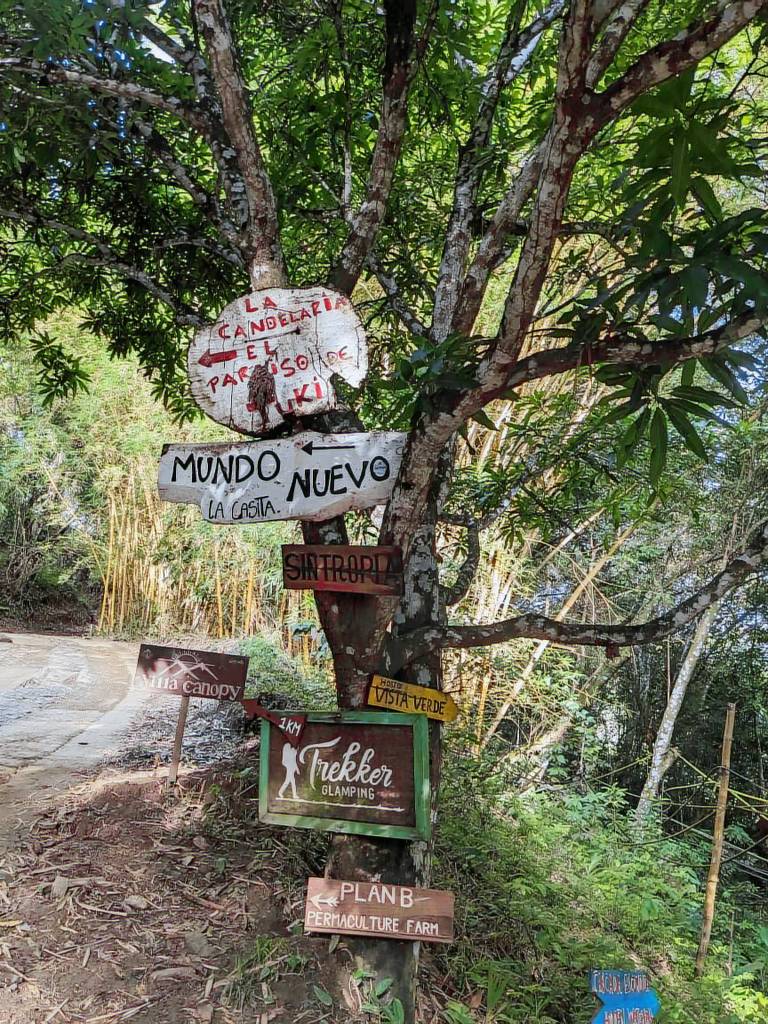 Oasis verde hostal — photo 2