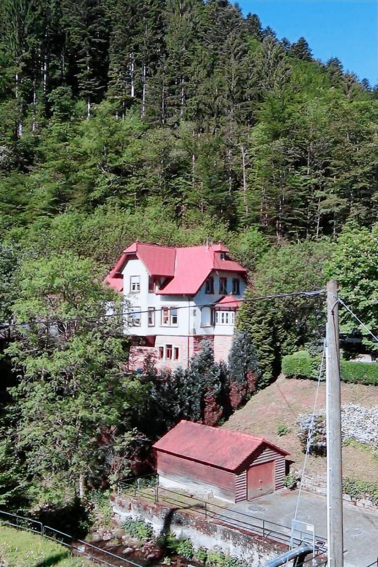 Ferienwohnung  Oppenau