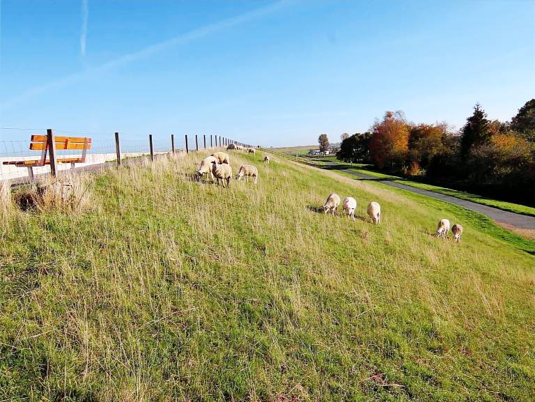 Ferienwohnung Ditzum