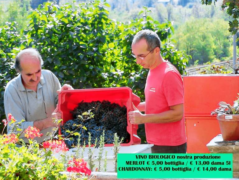 Agriturismo Pedrosola: Camera tripla in collina, per ritrovare l'autenticità con una colazione fatta in casa con ingredienti biologici ed autoprodotti — photo 2