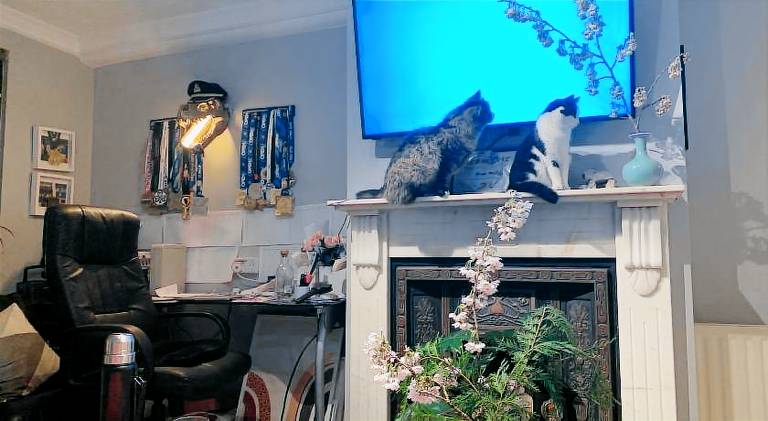 Wake up with 2 cats on your face — photo 2