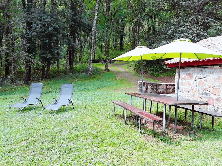 Lovely chalet with yard & BBQ | Nature view | Pets are welcome — photo 2