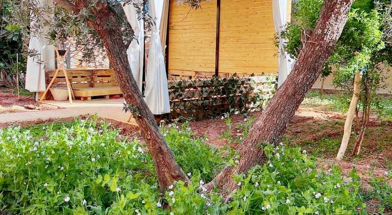 Rose Garden Dades — photo 3